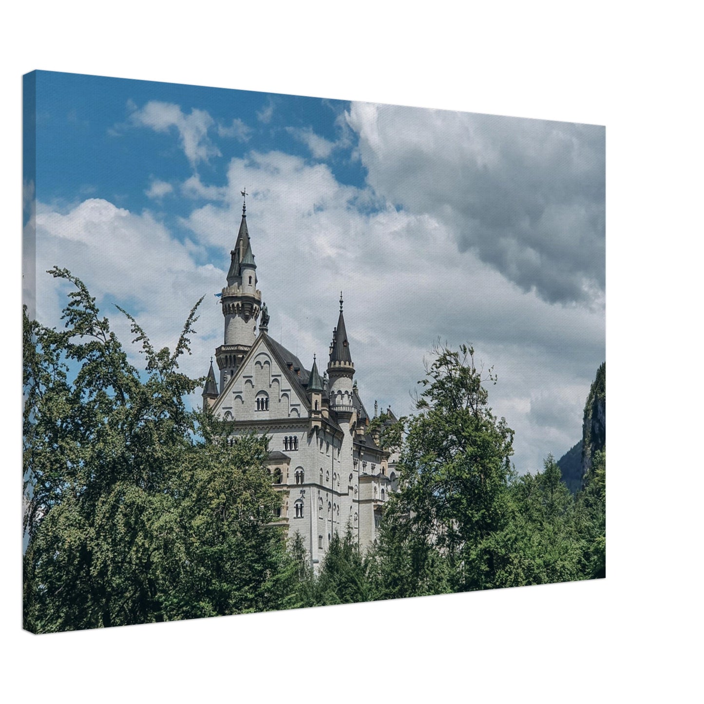 ad1d393d-af35-4775-80a4-f562e9bece53