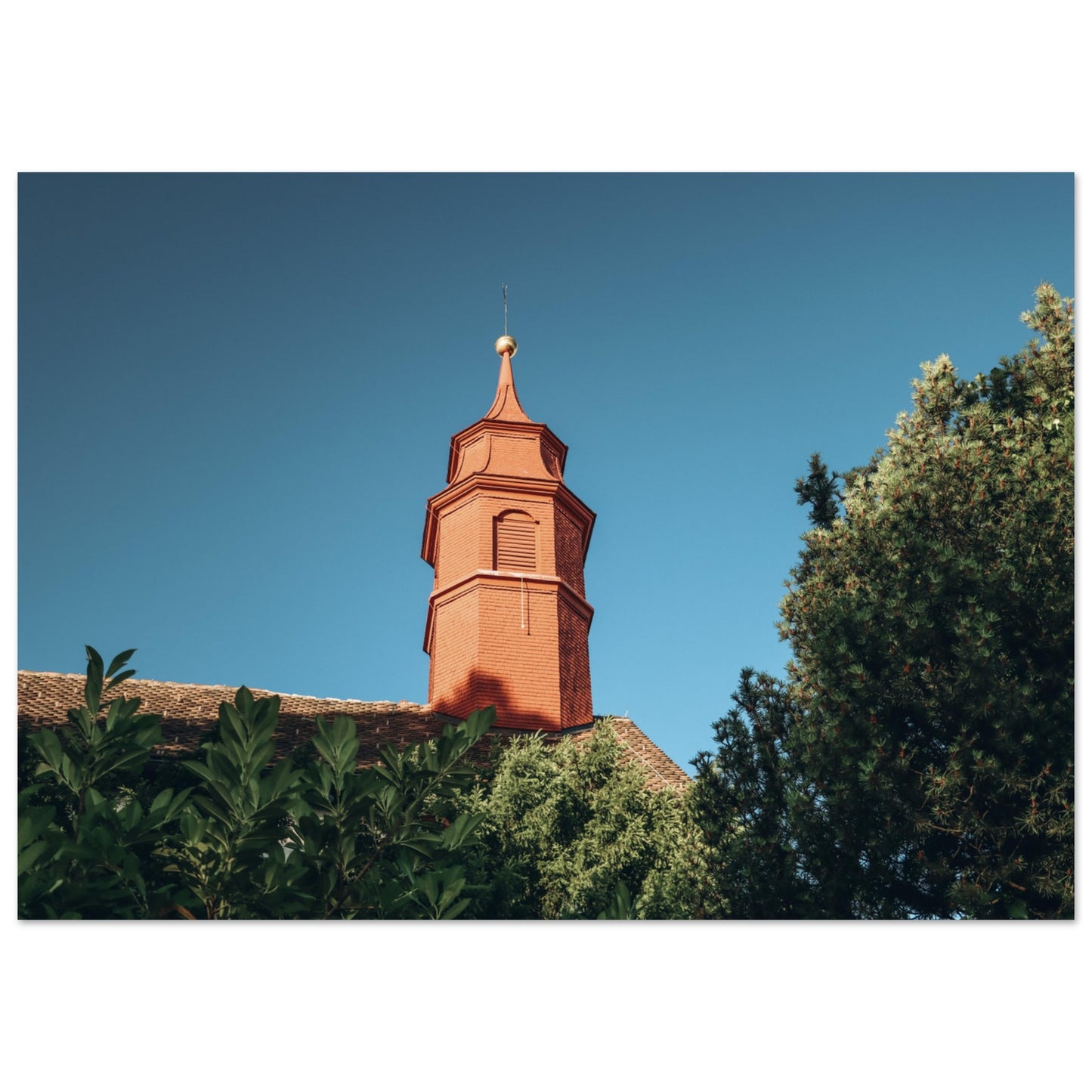 f2f22658-4637-4fbc-b988-fe05b355a021